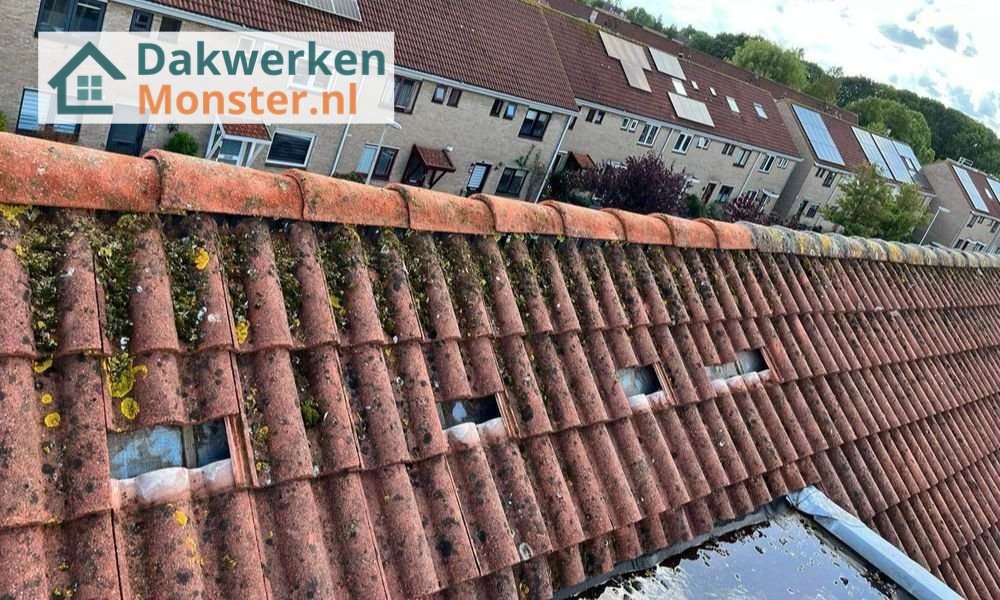 Een dakrenovatie bij oud pannendak in Monster